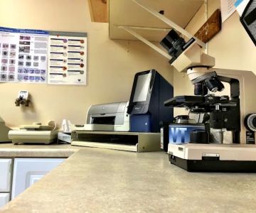 VCA Foxon Animal Hospital