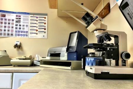 VCA Foxon Animal Hospital