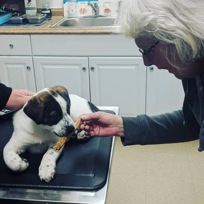 Northford Veterinary Clinic 12