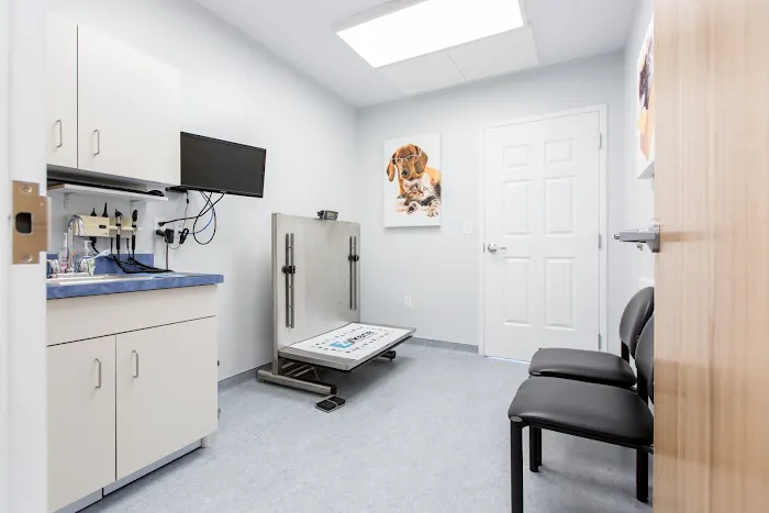 Shore Haven Veterinary Hospital 12