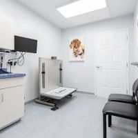 Shore Haven Veterinary Hospital ico