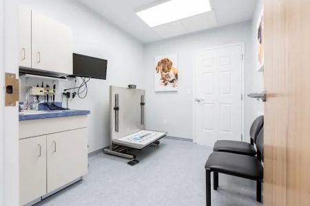 Shore Haven Veterinary Hospital