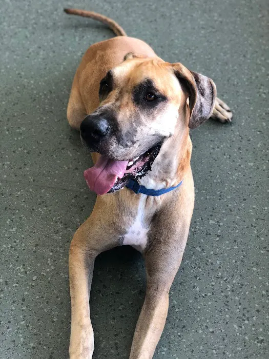 Shore Haven Veterinary Hospital 12