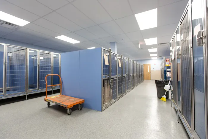 Shore Haven Veterinary Hospital 12