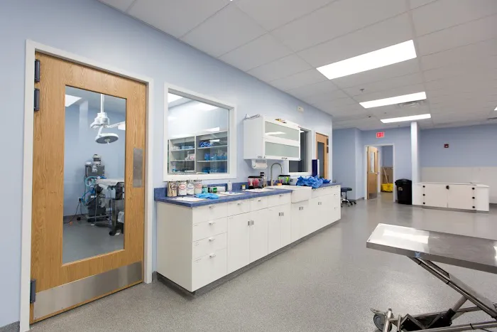 Shore Haven Veterinary Hospital 12