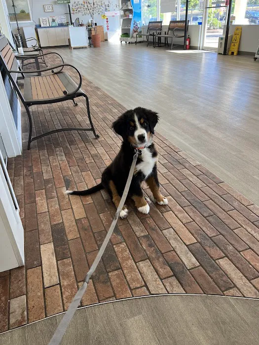 Shore Haven Veterinary Hospital 12