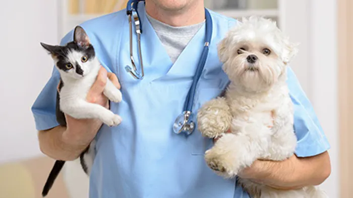 Shore Haven Veterinary Hospital 12