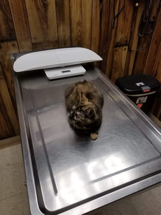 Roman Acres Veterinary Hospital 12