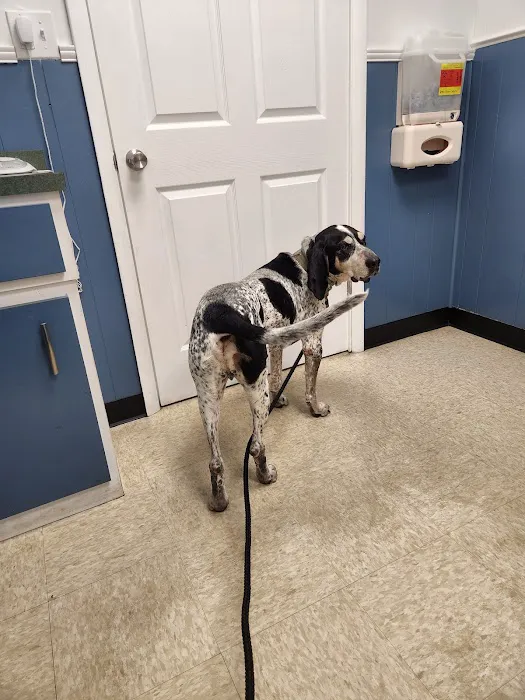 Roman Acres Veterinary Hospital 12