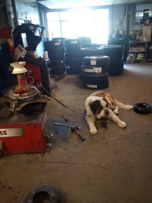 Country Care Veterinary Center, PLLC 7