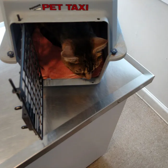 Country Care Veterinary Center, PLLC 9