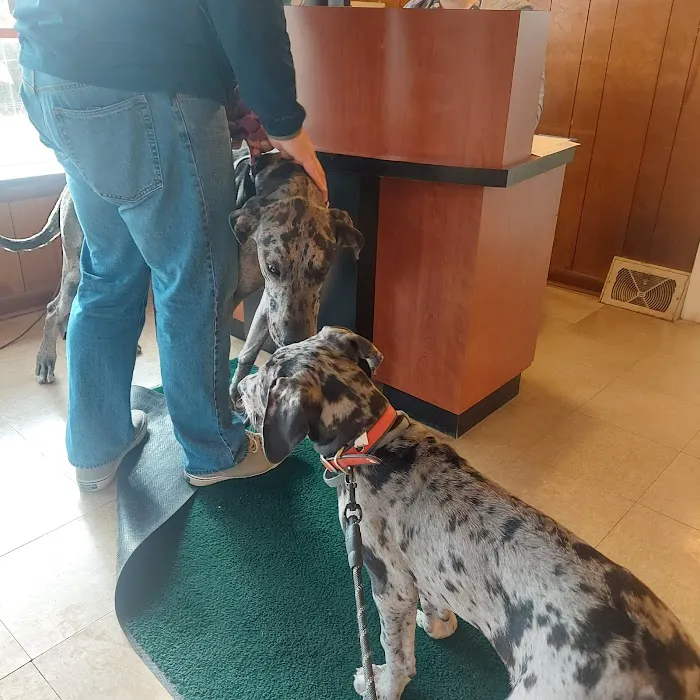 Country Care Veterinary Center, PLLC 3