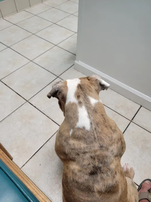Falls Village Veterinary Hospital 12