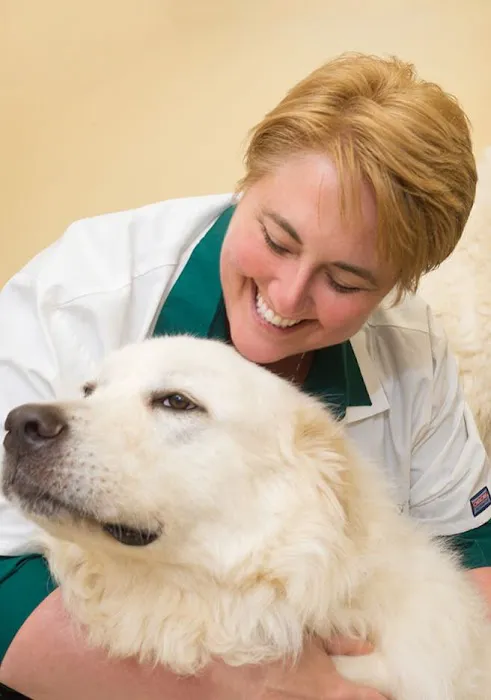 Falls Village Veterinary Hospital 12