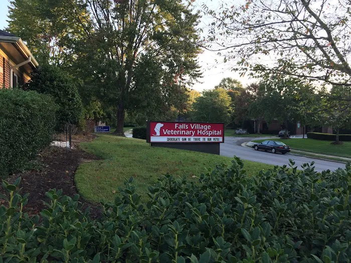 Falls Village Veterinary Hospital 12