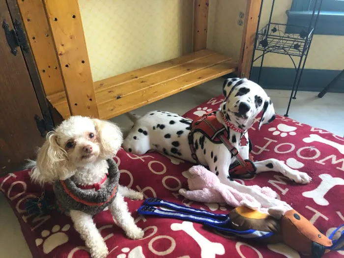 Falls Village Veterinary Hospital 12