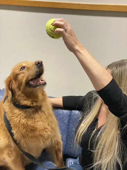 Complete Pet Care Animal Hospital at Falls Pointe 12