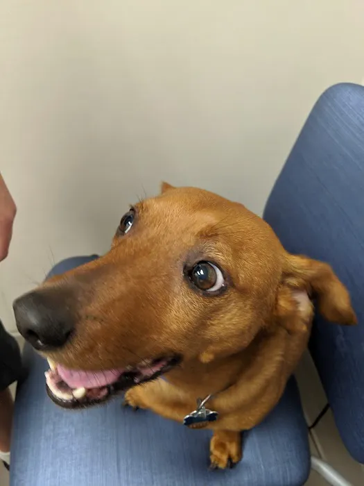 Complete Pet Care Animal Hospital at Falls Pointe 12