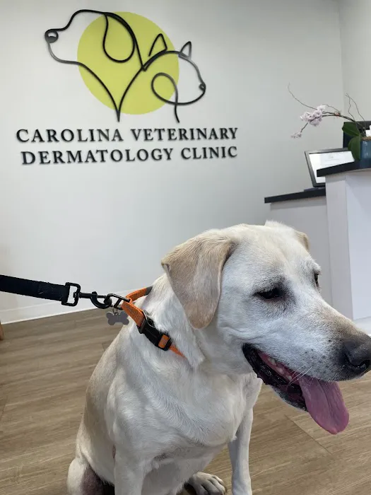 Carolina Veterinary Dermatology Clinic 12
