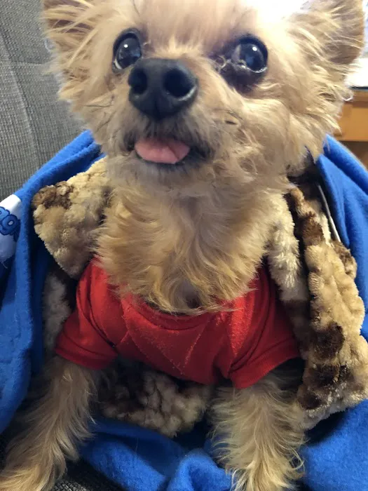Banfield Pet Hospital 12