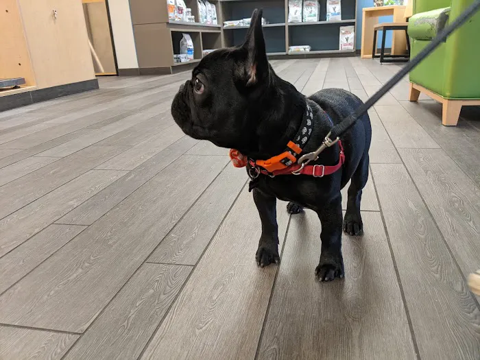 Banfield Pet Hospital 12