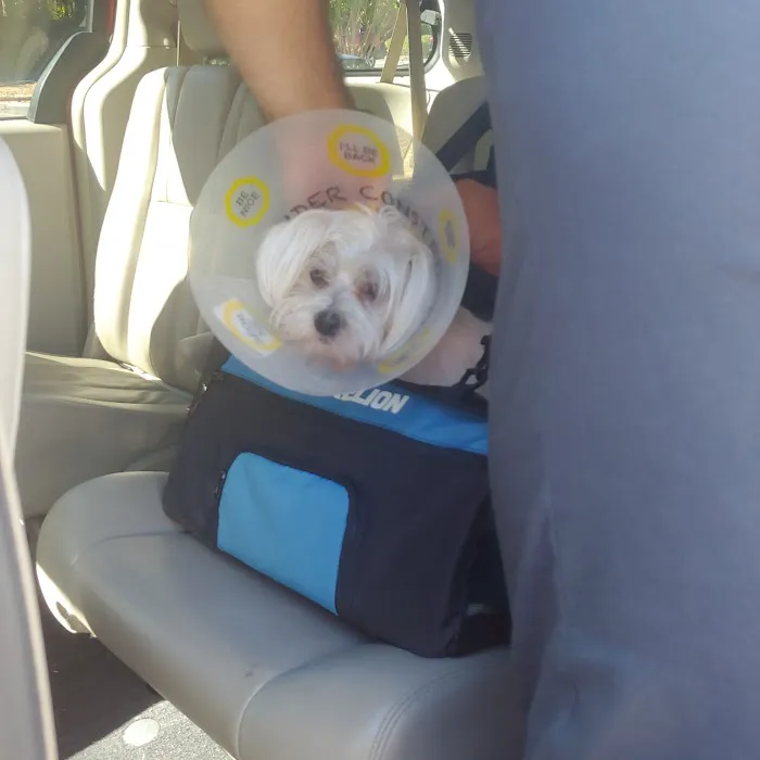SAFE Care Spay Neuter Clinic 12