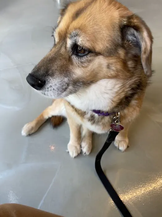Purr & Bark VeterinaryHospital and Moblie Doctor 12