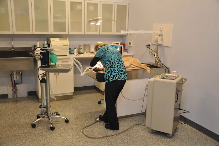 Purr & Bark VeterinaryHospital and Moblie Doctor 12