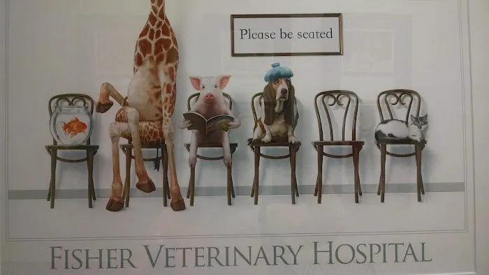 Fisher Veterinary Hospital 12