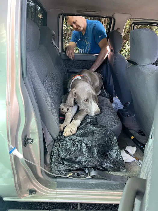 Animal Emergency Hospital & Urgent Care 12