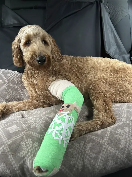Animal Emergency Hospital & Urgent Care 12