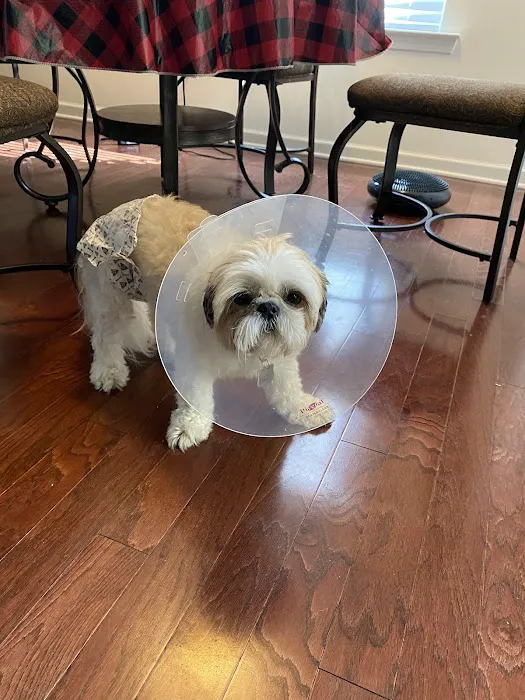 Mitchell Mill Animal Hospital 1
