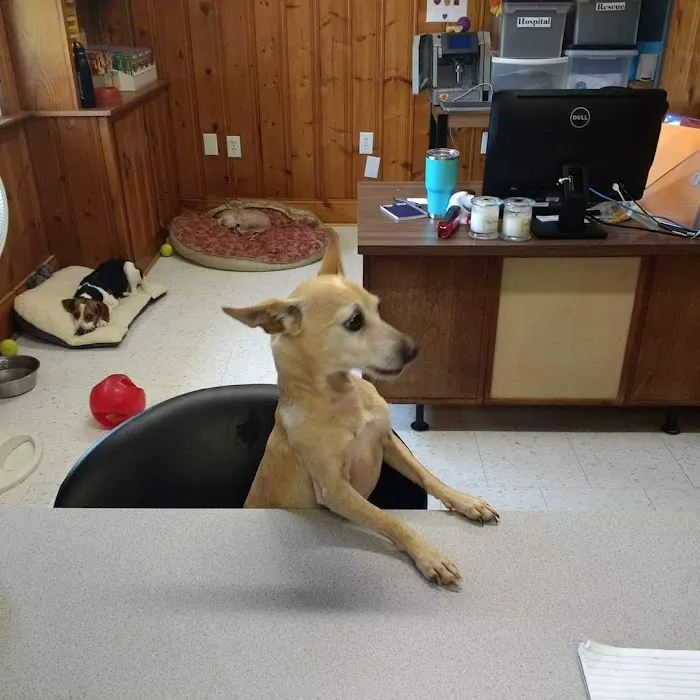 Mitchell Mill Animal Hospital 3