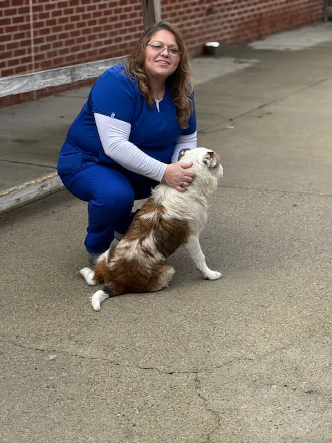 Mitchell Mill Animal Hospital 5