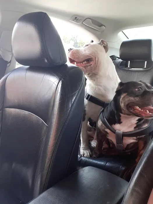 Banfield Pet Hospital 12