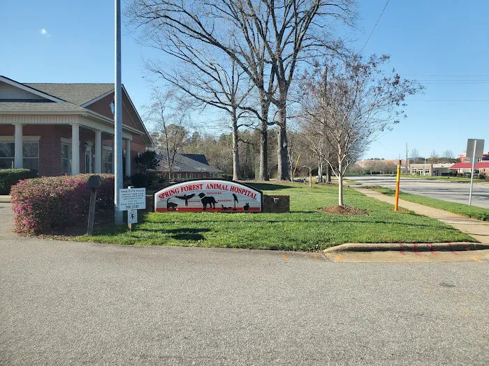 Spring Forest Animal Hospital 12