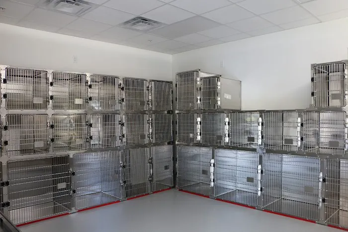 Capital Blvd Animal Hospital & Pet Inn Raleigh & Wake Forest 12