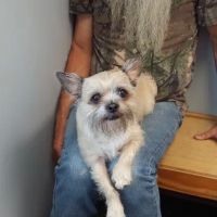 Bunn Animal Hospital ico