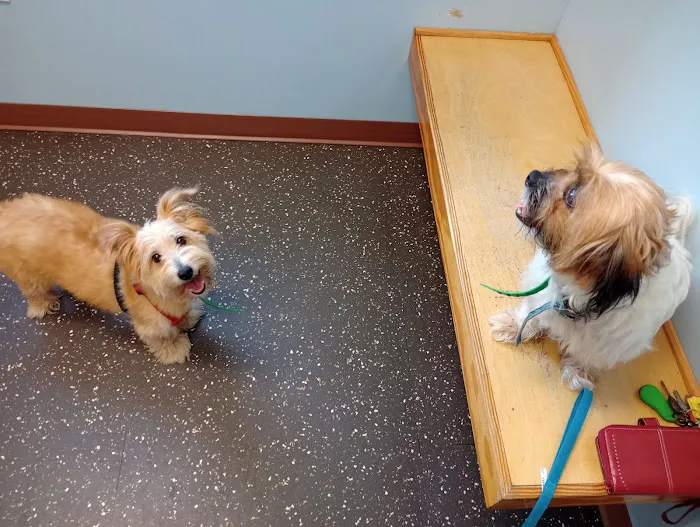 Bunn Animal Hospital 2