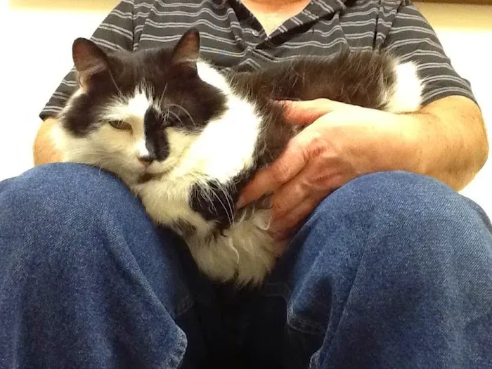 Rolesville Veterinary Hospital 12