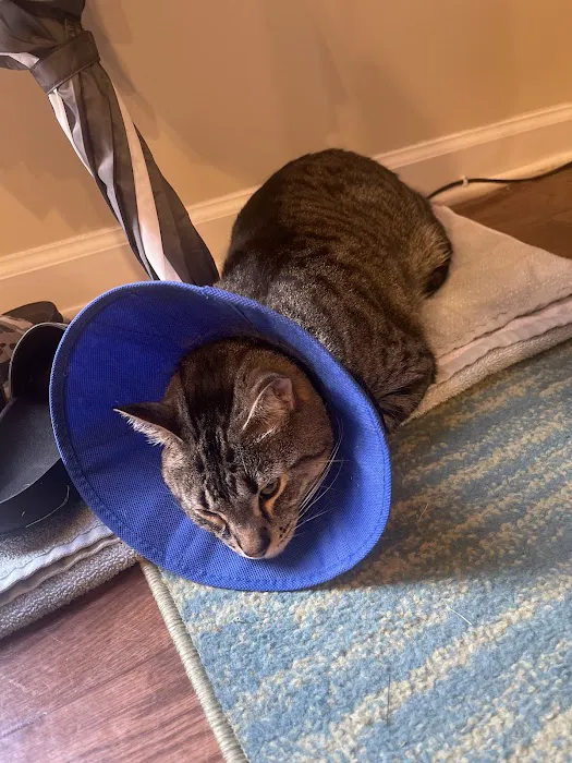 Petfolk Veterinary & Urgent Care - Wake Forest 12