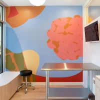 Petfolk Veterinary & Urgent Care - Wake Forest ico