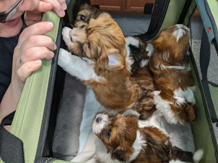 Heritage Animal Hospital 12