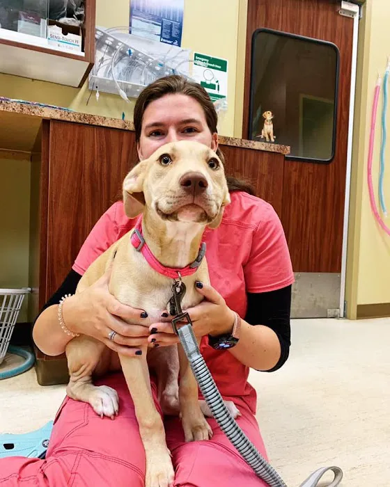 Tuscan Ridge Animal Hospital 12
