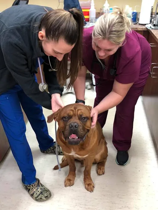 Tuscan Ridge Animal Hospital 12
