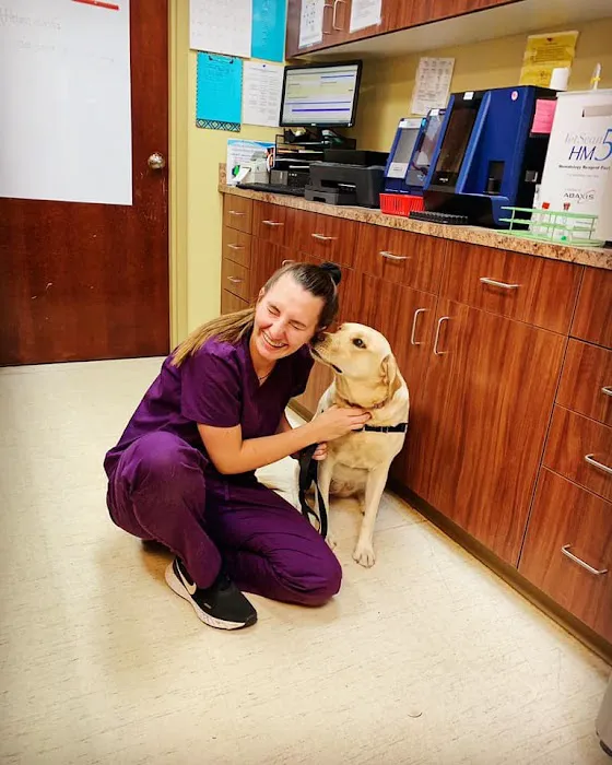 Tuscan Ridge Animal Hospital 12
