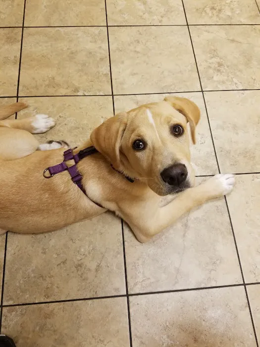 Complete Pet Care Animal Hospital at Heritage 12
