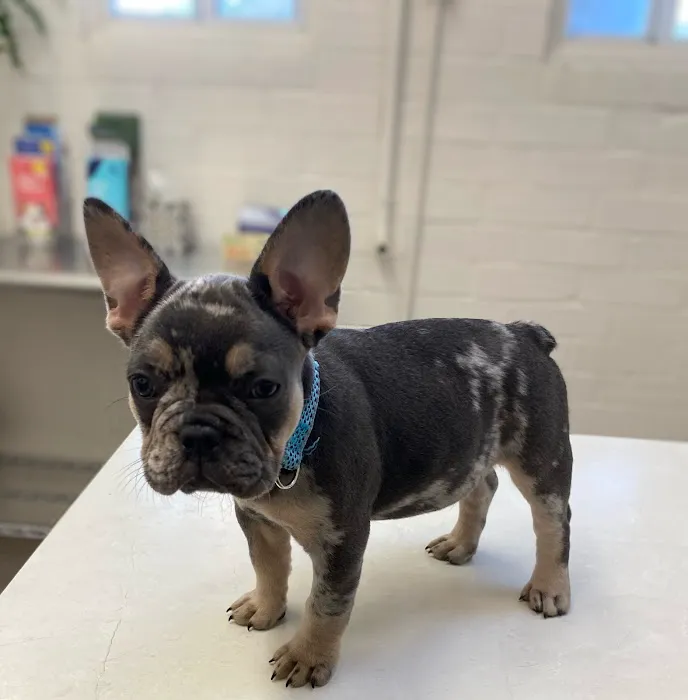 Eastwaye Veterinary Clinic 12