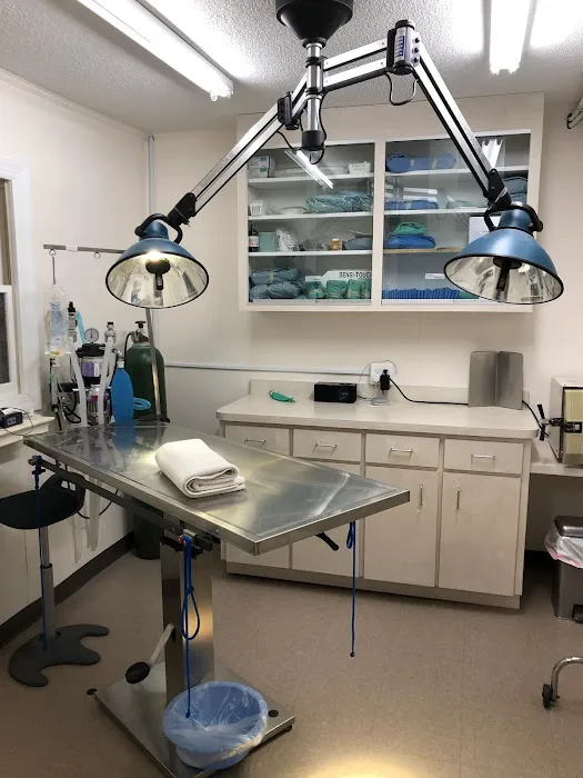 Eastwaye Veterinary Clinic 12
