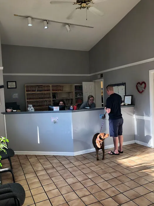 Eastwaye Veterinary Clinic 12